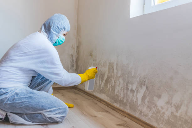 Mold Remediation specialist working in East Meadow